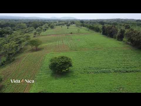 ¡120 Manzanas en Venta en Masatepe! Una Inversión Premium desde $25,000 por Manzana