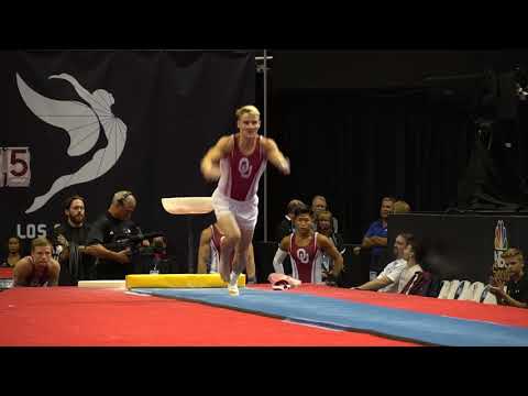 Alex Powarzynski - Vault - 2017 P&G Championships - Senior Men - Day 1