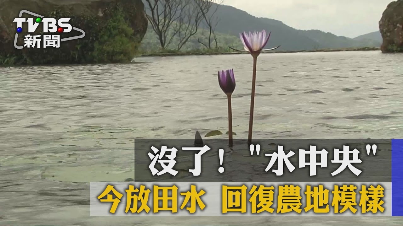 沒了！　水中央今放田水回復農地模樣