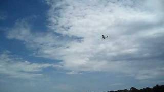 preview picture of video 'Catalina at Caboolture - Arrival Flypast'