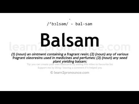 Pronunciation of Balsam | Definition of Balsam