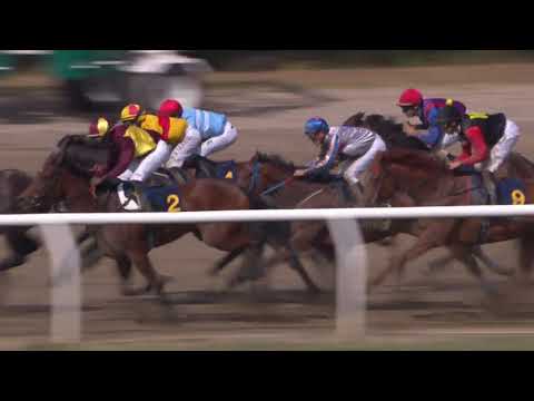 Svenskt Derby Consolation 2019 - Deadline Day