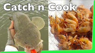 Catch n Cook Prawns with Flathead Fishing EP.352
