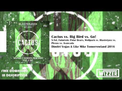 X-Tof, FPB, Wolfpack vs. Blasterjaxx vs. Avancada - Cactus vs. Big Bird vs. Go! (DV&LM Mashup)