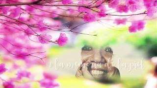 En la memoria de la piel (Rosana 2016)