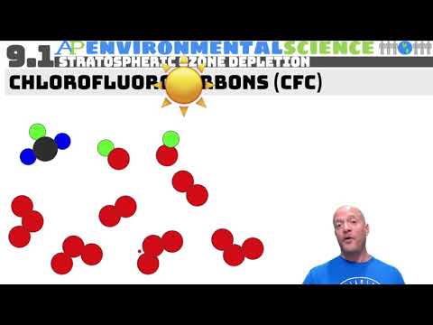 9.1 Stratospheric Ozone Depletion