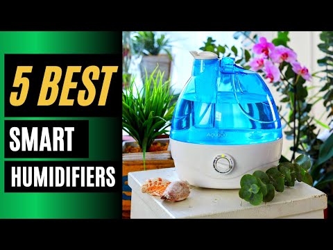 5 Best Humidifiers in 2022 | Best Humidifiers Amazon