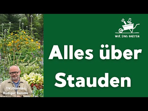 , title : 'Stauden! Tipps zur Pflege und Beetgestaltung von Rüdiger Ramme'