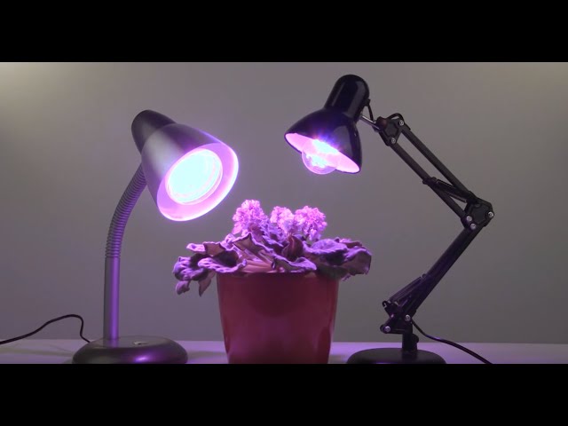 Фитолампа Полного Спектра Купить На Озоне