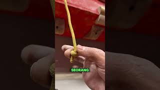 Download lagu Kekuatan Tangan Pemanjat Tebing 💯 mp3