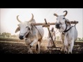 FARMERS Award Winning Short FilmFARMERS Award Winning Short Film HDWon Com Mp4