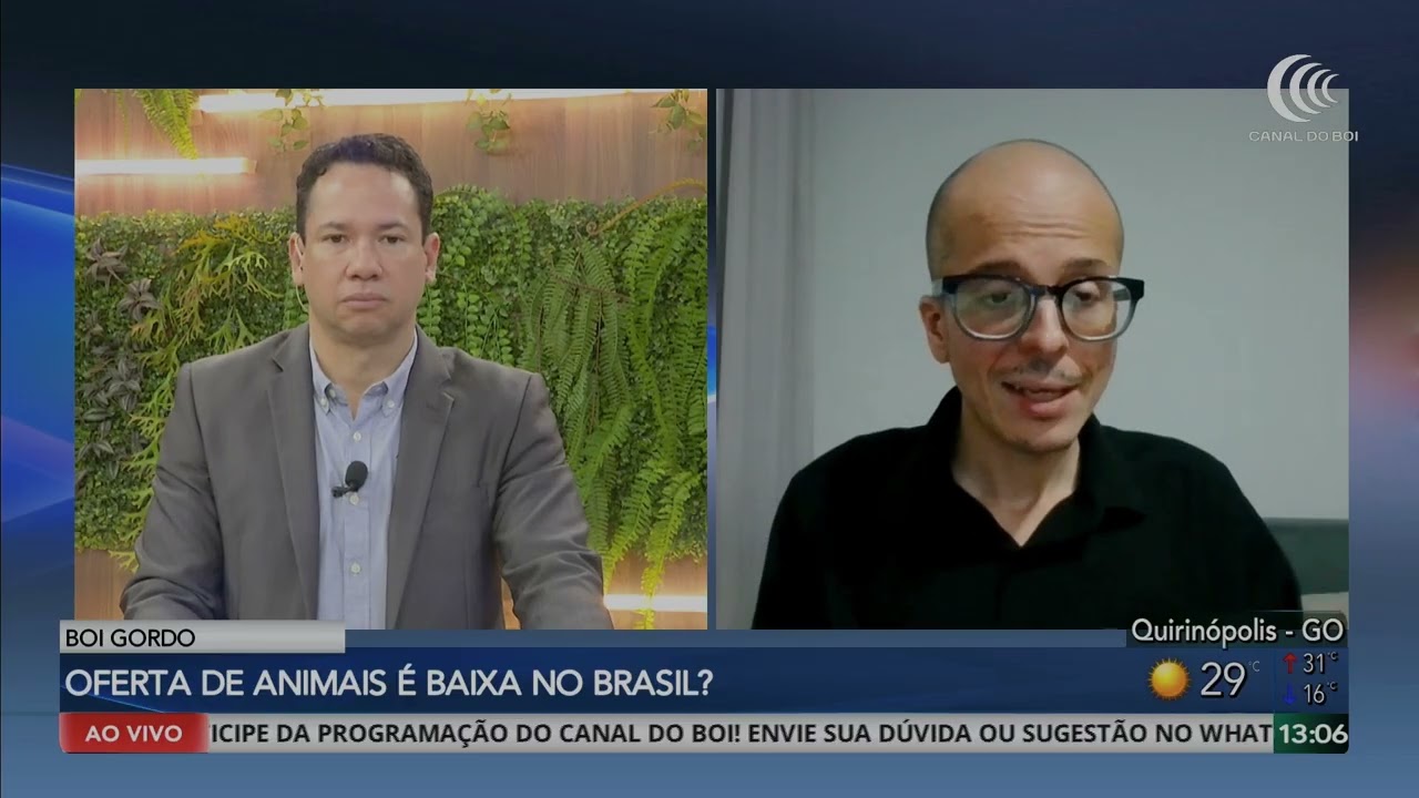 Boi gordo tem nova pressão de baixa no mercado físico