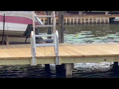 Dock Ladder Amazon