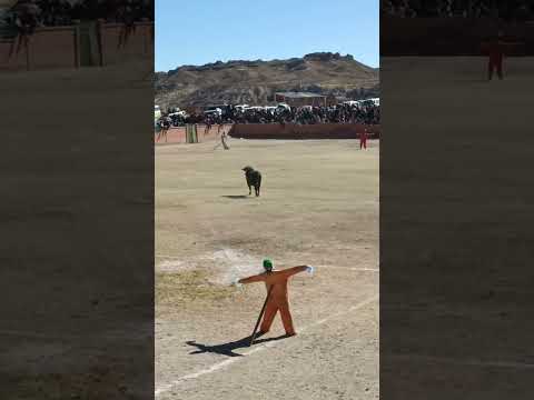 Corrida de toros curahuara de carangas oruro Bolivia 