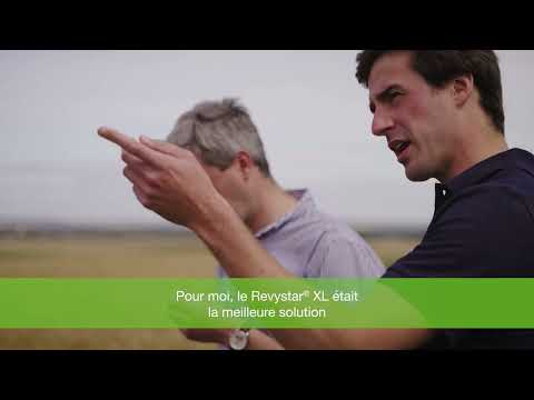 Itinéraire agroécologique blé avec Revystar® XL et l'OAD xarvio® Field Manager