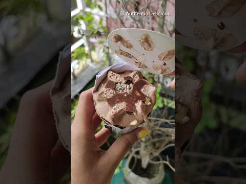 Amul Tricone Belgian chocolate ice-cream 🍨 #shorts #icecream #unboxing