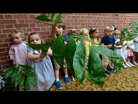 download lagu mp3 mp4 Providence United Methodist, download mp3 Providence United Methodist free download, download mp3 Providence United Methodist