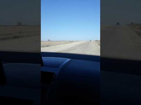 Drum național cuca galati