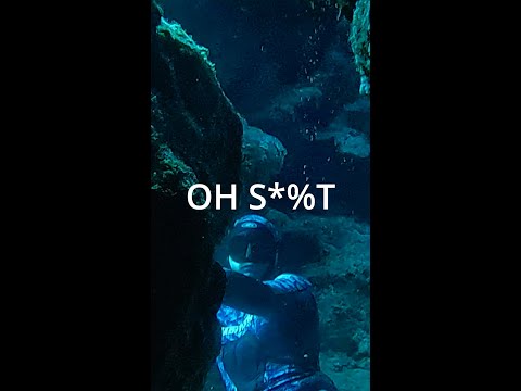 DANGEROUS CAVE DIVE! but very fun #shorts #freediving #spearfishing #underwater #diving