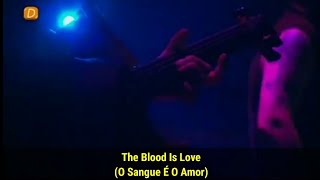 Queens Of The Stone Age - The Blood Is Love (Legendado)