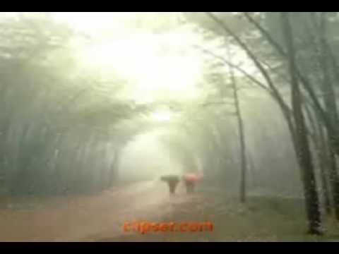 PORQUE CHORA A TARDE ANTONIO MARCOS ANOS 70