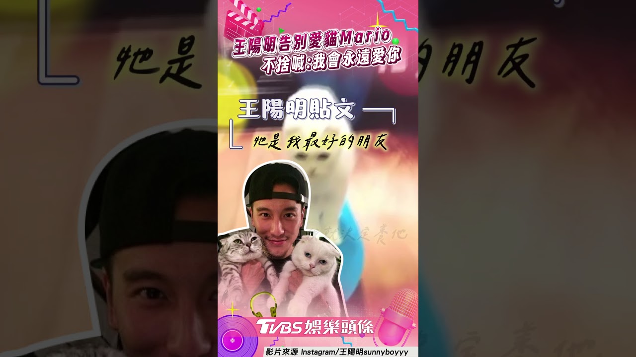 影音/王陽明淚別15歲愛貓! 鐵漢柔情痛悼:永遠愛你