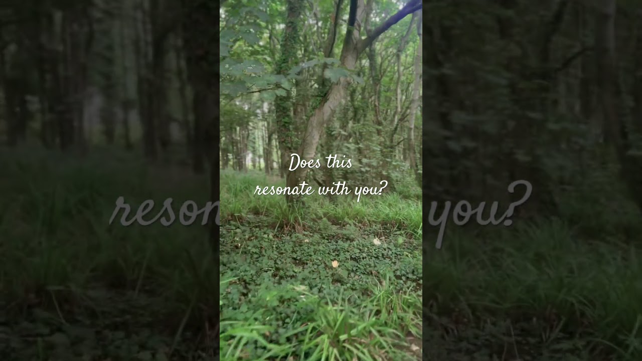 Empaths: Are you an empath? #kindness #empathy #mindfulpresence #Love #boundaries #peace