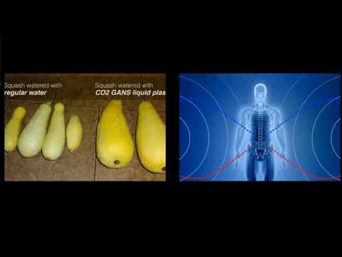 204th Knowledge Seekers Workshop Dec 28 2017