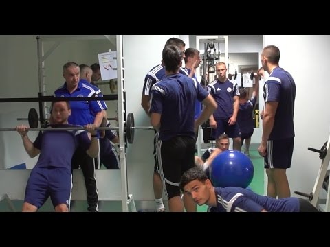 Red bull potencja Dla potencji króla