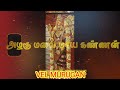 Murugan Whatsapp Status Murugan Song Whatsapp Status God Whatsapp Status Tamil Murugan Shorts