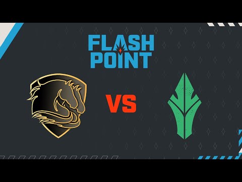 CS:GO FR - DBL Poney vs HAVU - FLASHPOINT 3 - MAP 1