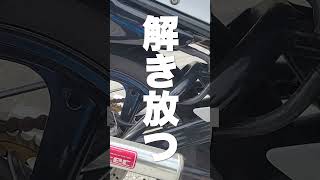 【R1-Z】YAMAHAが世に解き放った最後のツーストネイキッド！その名も #shorts