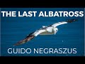 ‘The Last Albatross’ Dreamy New Age 🎧 relax, heal, sleep, study, ambient music by Guido Negraszus