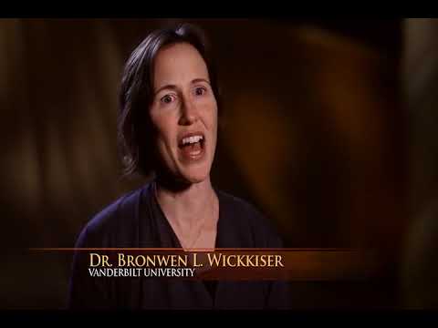 Quest For God : The Search