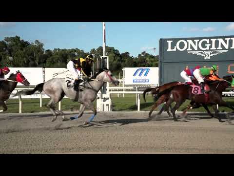 221218 c06 MARAVILLA VAN