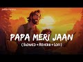 Papa Meri Jaan - Lofi Mix | Slowed + Reverb | Sonu Nigam | Animal | SSR Lofi