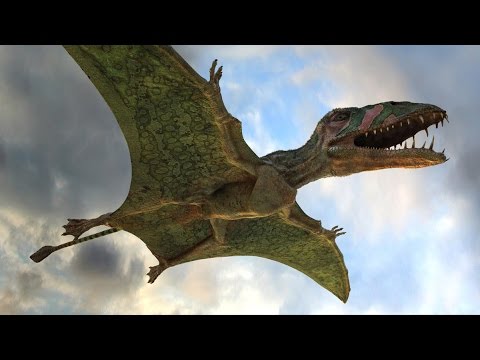 , title : 'Dinosaures du Jurassique 1/3 : L'épopée des reptiles volants'