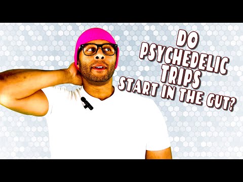Do Psychedelic Trips Actually Start in the Gut Instead of the Brain? I Healing Maps