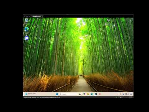 Omnicord setup walkthrough