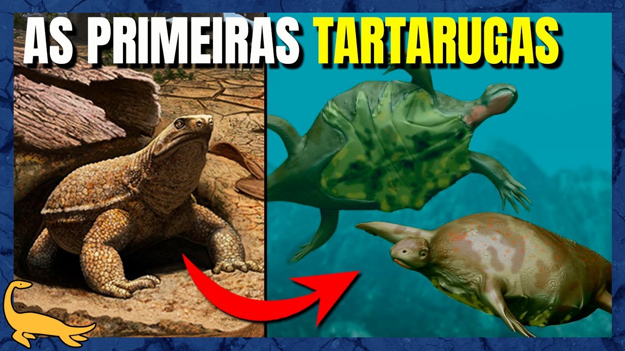 ORIGEM e EVOLUÇÃO das TARTARUGAS (Testudines e Testudinata)
