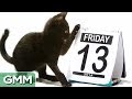 FRIDAY THE 13TH Facts - YouTube