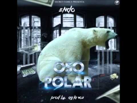 Endo – Oso Polar Secret Family