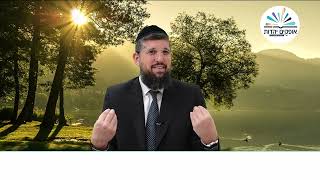 המתנות ששלח יעקב לעשיו | זרע שמשון | פרשת וישלח תשפ"ה | הרב אליהו עמר (הרב אליהו עמר) - התמונה מוצגת ישירות מתוך אתר האינטרנט יוטיוב. זכויות היוצרים בתמונה שייכות ליוצרה. קישור קרדיט למקור התוכן נמצא בתוך דף הסרטון המתנות ששלח יעקב לעשיו | זרע שמשון | פרשת וישלח תשפ"ה | הרב אליהו עמר (הרב אליהו עמר) - התמונה מוצגת ישירות מתוך אתר האינטרנט יוטיוב. זכויות היוצרים בתמונה שייכות ליוצרה. קישור קרדיט למקור התוכן נמצא בתוך דף הסרטון