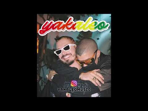 YAKALEO MIX #5 - ⚡SE HACE LA QUE NO ME CONOCE⚡ / REGGAETON MIX
