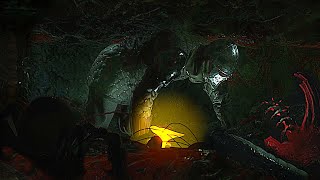 Horror Game Where You Crawl Through A Fantasy Dungeon Cave Full Of Bugs - Fear Underground