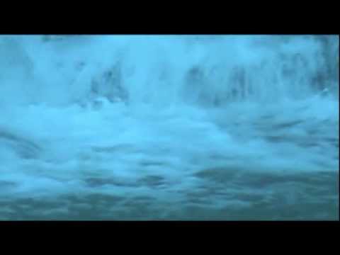 Dream Pool - Meg Stepka