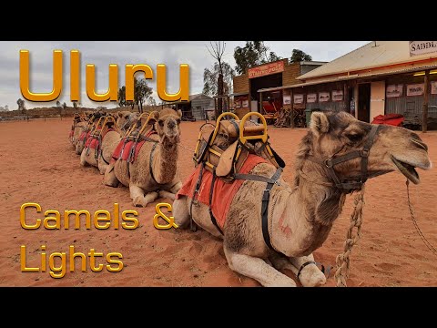 Uluru, Camel Ride and the Field of Light, Northern Territory. (Ayers Rock)