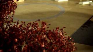 Download lagu Race mp3