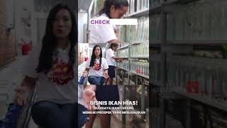 Download lagu HOW TO SEND BETTA FISH, A MUST KNOW!! #shorts #bettafish mp3 Download lagu HOW TO SEND BETTA FISH, A MUST KNOW!! #shorts #bettafish mp3