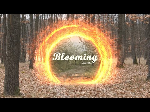 Near Cluj - Blooming